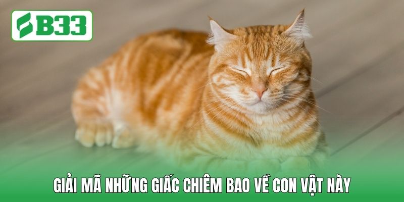 Giải mã những giấc chiêm bao về con vật này