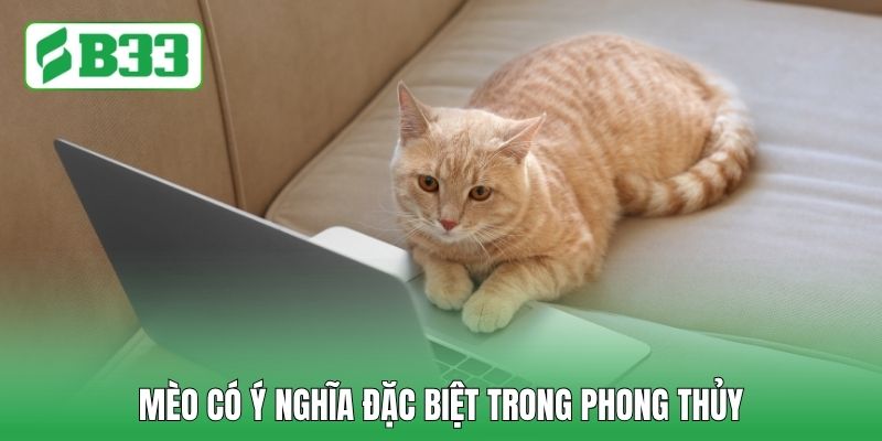Mèo có ý nghĩa đặc biệt trong phong thủy